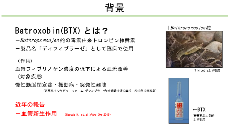令和5年度 研究活動報告（看護）
